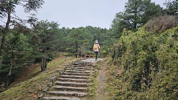 【麟趾山】【鹿林山】親民輕鬆步道卻擁有百岳級美景，眺望玉山群