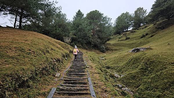 【麟趾山】【鹿林山】親民輕鬆步道卻擁有百岳級美景，眺望玉山群