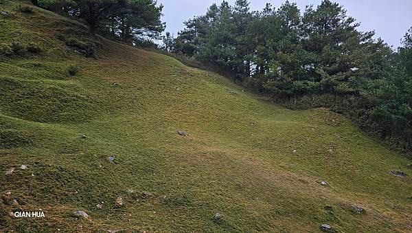 【麟趾山】【鹿林山】親民輕鬆步道卻擁有百岳級美景，眺望玉山群