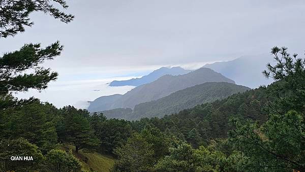 【麟趾山】【鹿林山】親民輕鬆步道卻擁有百岳級美景，眺望玉山群