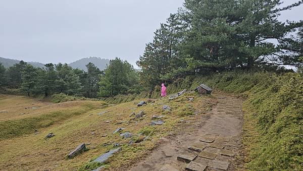 【麟趾山】【鹿林山】親民輕鬆步道卻擁有百岳級美景，眺望玉山群