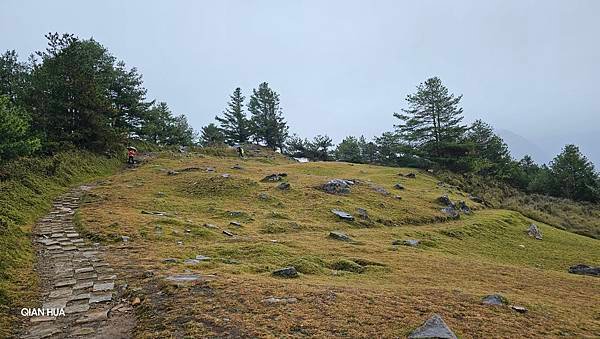 【麟趾山】【鹿林山】親民輕鬆步道卻擁有百岳級美景，眺望玉山群