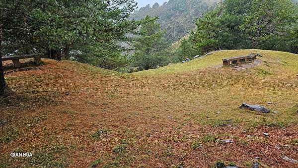 【麟趾山】【鹿林山】親民輕鬆步道卻擁有百岳級美景，眺望玉山群