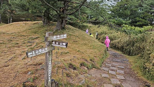 【麟趾山】【鹿林山】親民輕鬆步道卻擁有百岳級美景，眺望玉山群