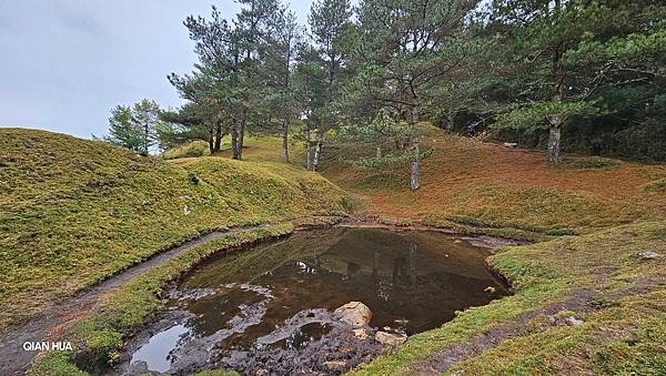 【麟趾山】【鹿林山】親民輕鬆步道卻擁有百岳級美景，眺望玉山群