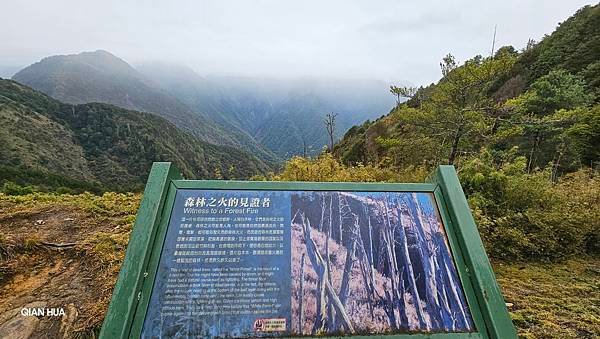 【麟趾山】【鹿林山】親民輕鬆步道卻擁有百岳級美景，眺望玉山群