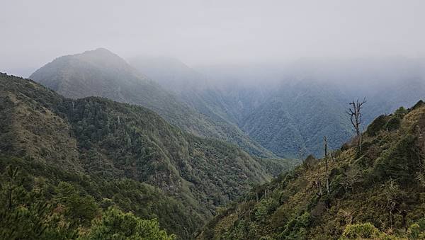 【麟趾山】【鹿林山】親民輕鬆步道卻擁有百岳級美景，眺望玉山群