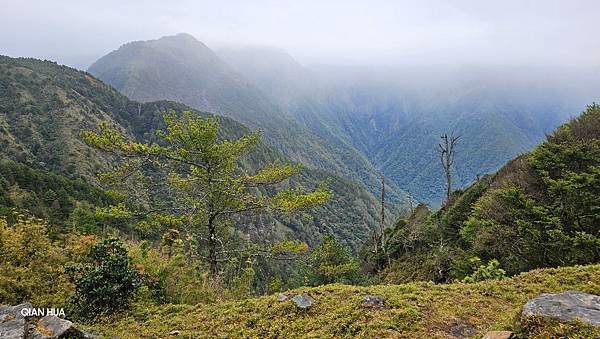 【麟趾山】【鹿林山】親民輕鬆步道卻擁有百岳級美景，眺望玉山群