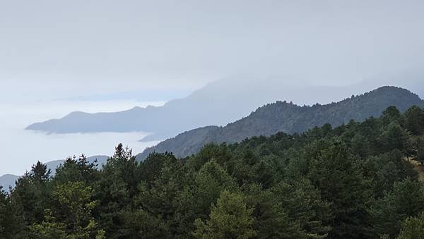 【麟趾山】【鹿林山】親民輕鬆步道卻擁有百岳級美景，眺望玉山群