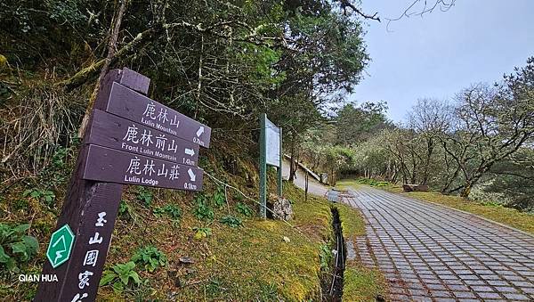 【麟趾山】【鹿林山】親民輕鬆步道卻擁有百岳級美景，眺望玉山群