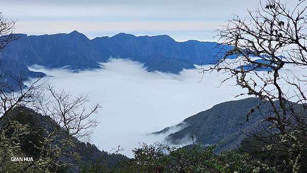 【麟趾山】【鹿林山】親民輕鬆步道卻擁有百岳級美景，眺望玉山群