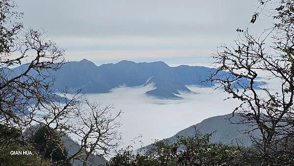 【麟趾山】【鹿林山】親民輕鬆步道卻擁有百岳級美景，眺望玉山群