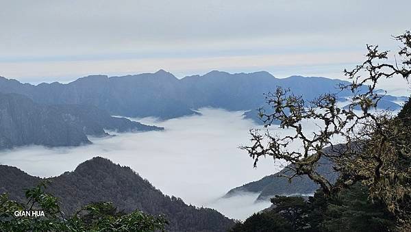 【麟趾山】【鹿林山】親民輕鬆步道卻擁有百岳級美景，眺望玉山群