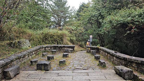 【麟趾山】【鹿林山】親民輕鬆步道卻擁有百岳級美景，眺望玉山群