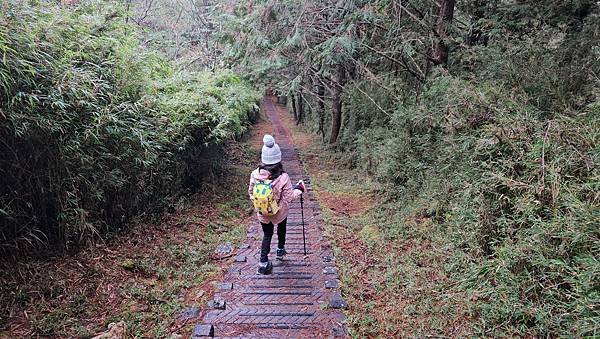 【麟趾山】【鹿林山】親民輕鬆步道卻擁有百岳級美景，眺望玉山群