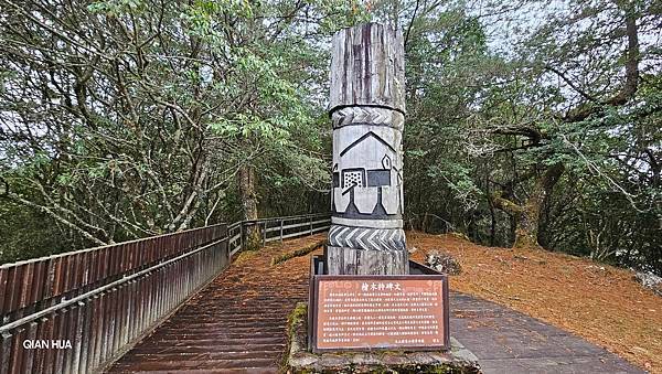 【麟趾山】【鹿林山】親民輕鬆步道卻擁有百岳級美景，眺望玉山群