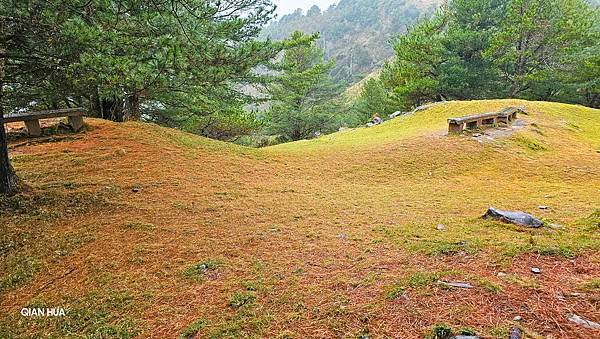 【麟趾山】【鹿林山】親民輕鬆步道卻擁有百岳級美景，眺望玉山群