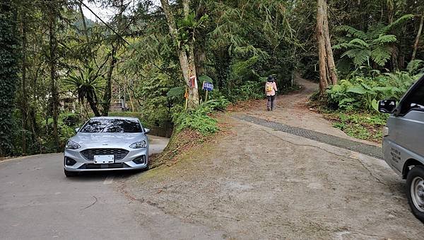 【光天高山】【向天湖山】O型環繞、夢幻杉林、巨岩、綠披風步道