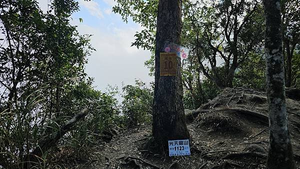 【光天高山】【向天湖山】O型環繞、夢幻杉林、巨岩、綠披風步道