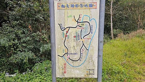 【光天高山】【向天湖山】O型環繞、夢幻杉林、巨岩、綠披風步道