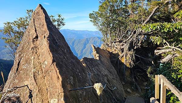 【 北得拉曼】【內鳥嘴山】新尖石步道-神木群、回音谷、山毛櫸