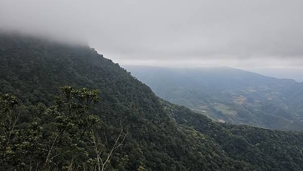 【 北得拉曼】【內鳥嘴山】新尖石步道-神木群、回音谷、山毛櫸