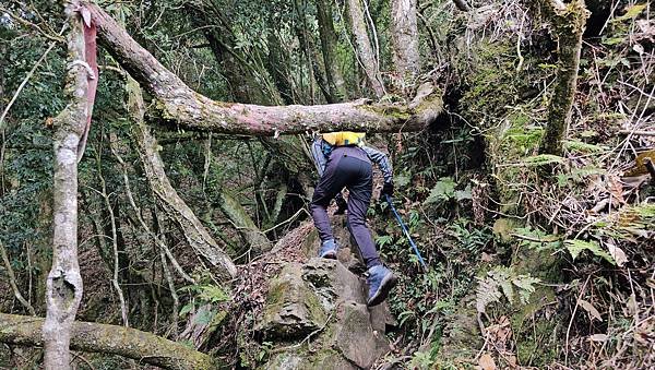 【龍虎縱走『下』】~【2054峰、虎山】水雲三星~體力、毅力