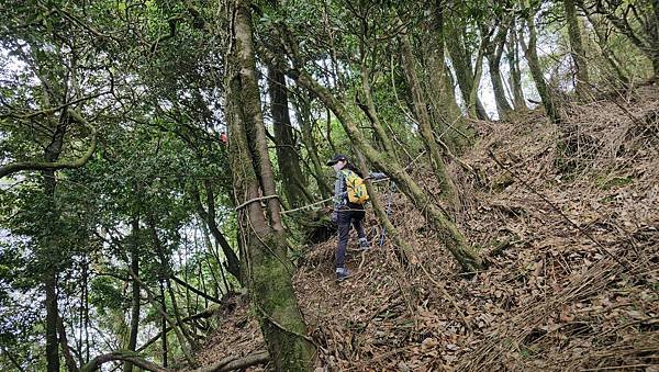 【龍虎縱走『下』】~【2054峰、虎山】水雲三星~體力、毅力