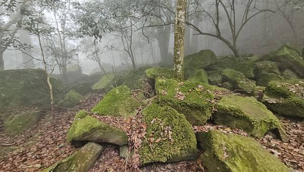 【龍虎縱走『下』】~【2054峰、虎山】水雲三星~體力、毅力