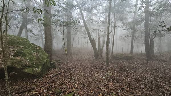 【龍虎縱走『下』】~【2054峰、虎山】水雲三星~體力、毅力