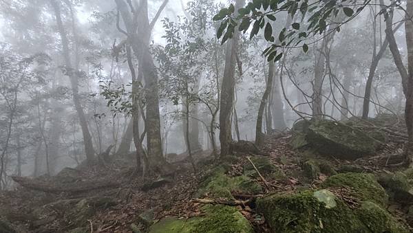 【龍虎縱走『下』】~【2054峰、虎山】水雲三星~體力、毅力