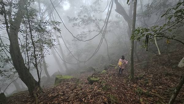 【龍虎縱走『下』】~【2054峰、虎山】水雲三星~體力、毅力