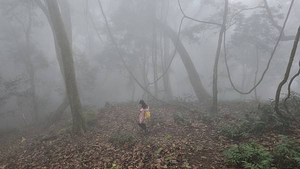 【龍虎縱走『下』】~【2054峰、虎山】水雲三星~體力、毅力