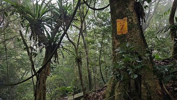 【龍虎縱走『下』】~【2054峰、虎山】水雲三星~體力、毅力