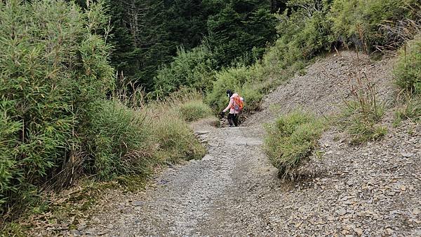 【小奇萊】奇萊山登山口，絕美平易近人高山步道，遙望黑色奇萊。