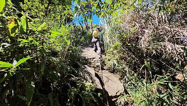 【哈加縱走】哈勘尼山/加里山縱走挑戰極限與驚險，邂逅絕美雲海