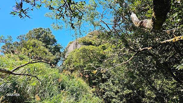 【哈加縱走】哈勘尼山/加里山縱走挑戰極限與驚險，邂逅絕美雲海