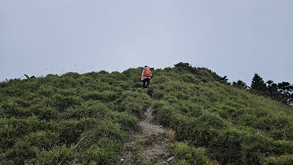【小奇萊】奇萊山登山口，絕美平易近人高山步道，遙望黑色奇萊。