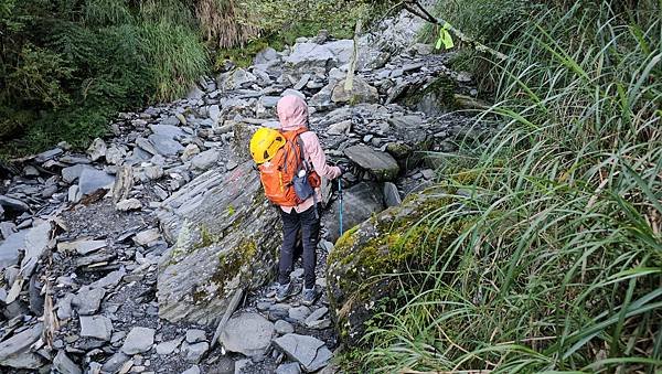 【小奇萊】奇萊山登山口，絕美平易近人高山步道，遙望黑色奇萊。