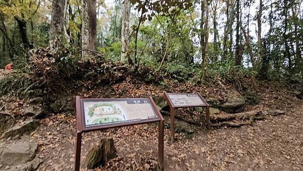 【霞喀羅國家步道】百大最美必訪步道，白石吊橋夢幻楓紅季節-養