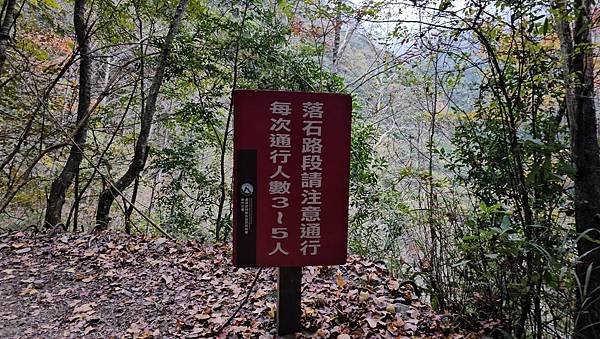 【霞喀羅國家步道】百大最美必訪步道，白石吊橋夢幻楓紅季節-養