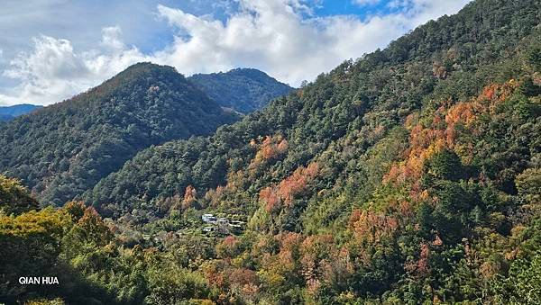 【霞喀羅國家步道】百大最美必訪步道，白石吊橋夢幻楓紅季節-養