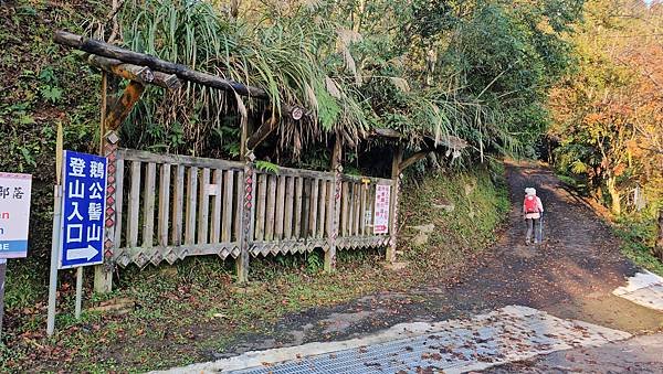 【鵝公髻山雲霧步道】千年血藤、三心瀑布群、神木與酋長岩的奇幻