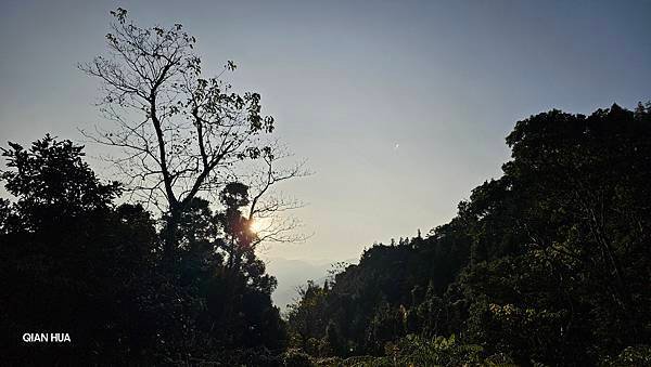 【鵝公髻山雲霧步道】千年血藤、三心瀑布群、神木與酋長岩的奇幻