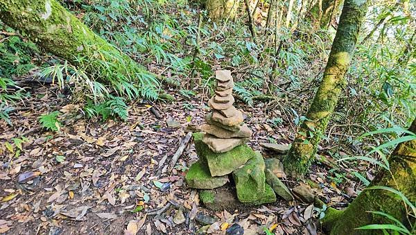 【鵝公髻山雲霧步道】千年血藤、三心瀑布群、神木與酋長岩的奇幻