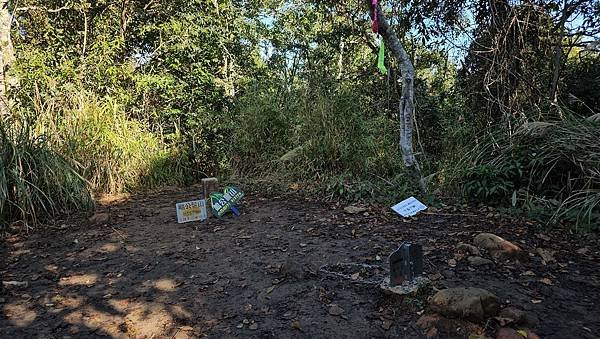 【鵝公髻山雲霧步道】千年血藤、三心瀑布群、神木與酋長岩的奇幻