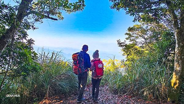 【鵝公髻山雲霧步道】千年血藤、三心瀑布群、神木與酋長岩的奇幻