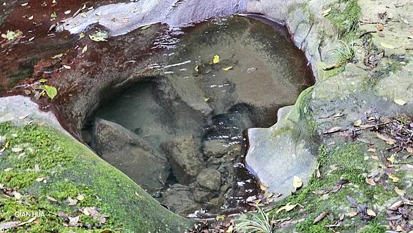 【鵝公髻山雲霧步道】千年血藤、三心瀑布群、神木與酋長岩的奇幻