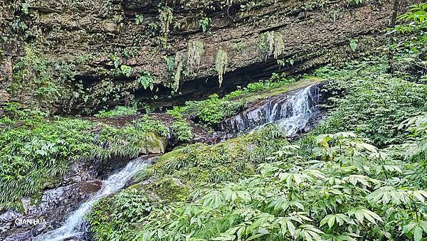 【鵝公髻山雲霧步道】千年血藤、三心瀑布群、神木與酋長岩的奇幻