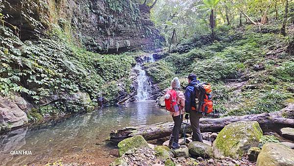 【鵝公髻山雲霧步道】千年血藤、三心瀑布群、神木與酋長岩的奇幻